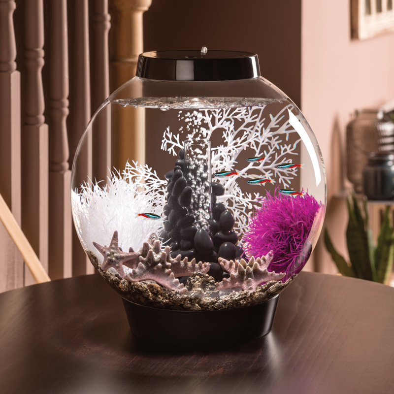 Biorb 4 Gallon Round Aquarium Tank & Reviews Wayfair